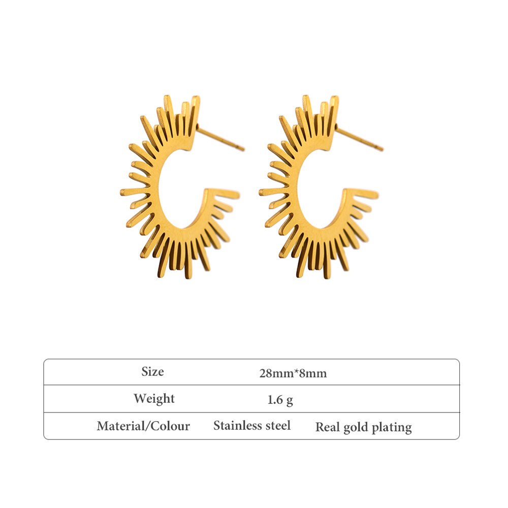 Ganoo earrings displayed on a neutral background